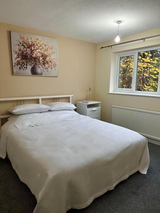 Stylish 2 Bedrooms Flat In A Quiet Cul-De-Sac Area, Near Sheffield City Centre With Free Parking Екстериор снимка